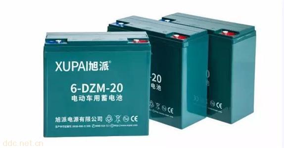 旭派6-DZM-20标准版电池