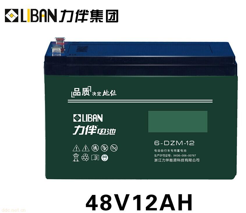 电动车专用电池6-DZM-12