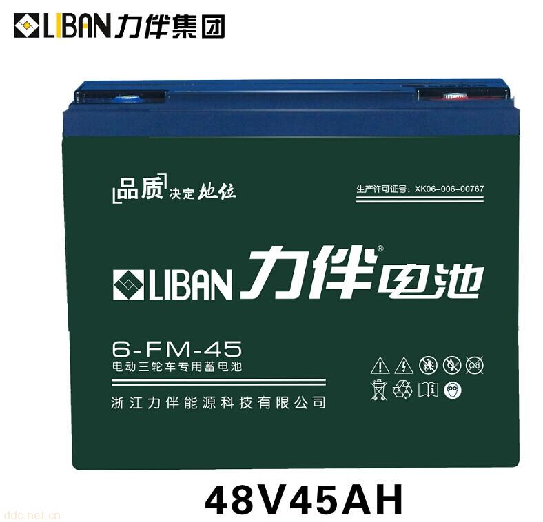 电动车专用电池6-FM-45