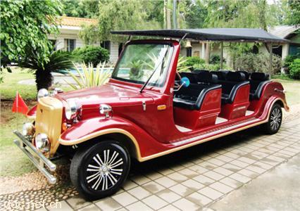 四轮迎宾车  6座电动高尔夫车