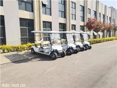 利凯士得电动高尔夫球车 酒店迎宾车