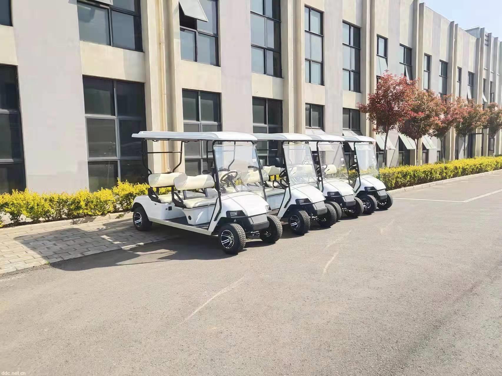 利凯士得 电动高尔夫球车 电动观光车