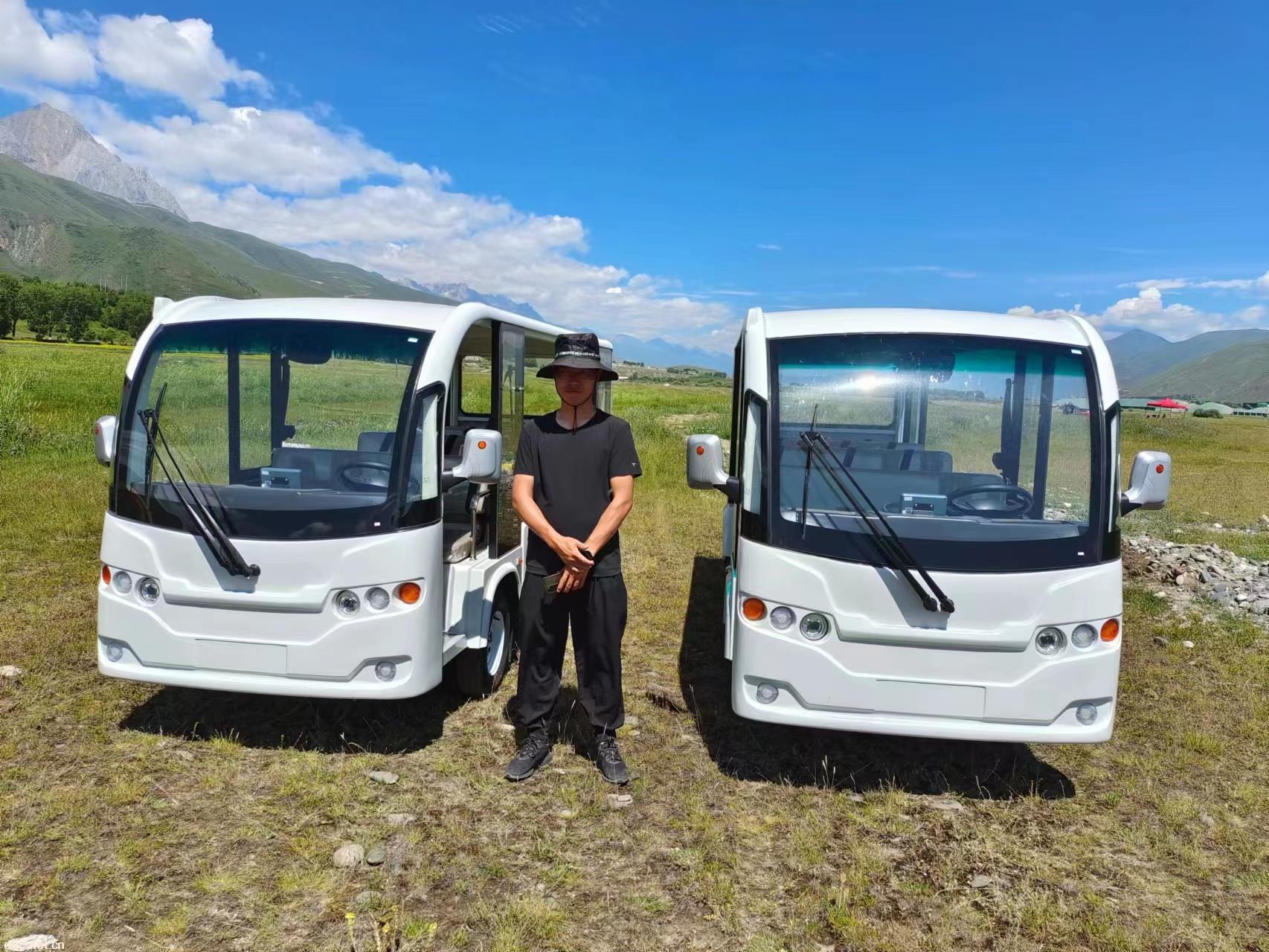 利凯士得电动游览观光车 电动景区观光车