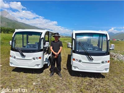 利凯士得电动游览观光车 电动景区观光车