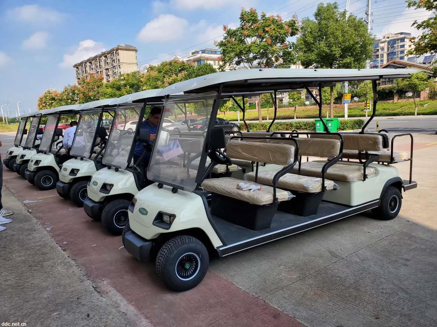 十一座电瓶高尔夫球车供应