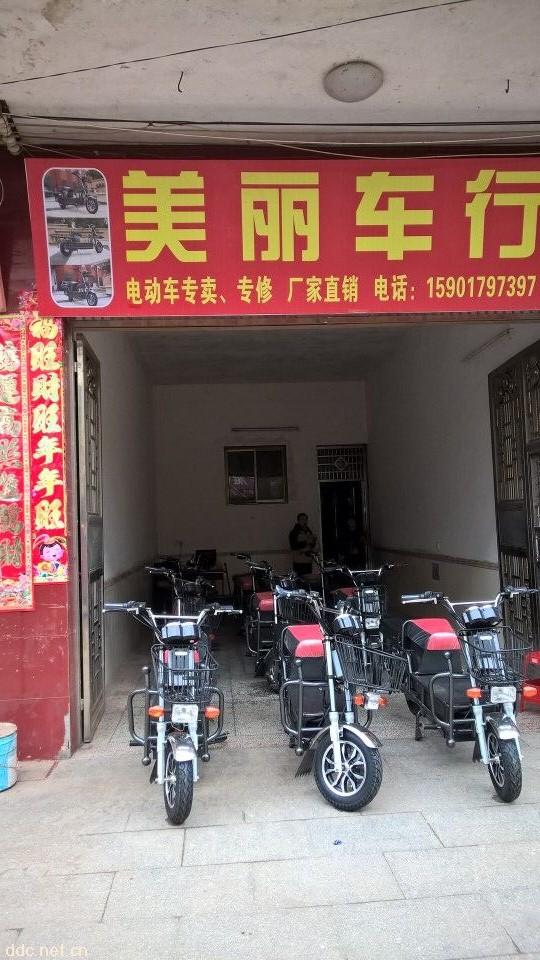 祁东美丽车行电动车载重王