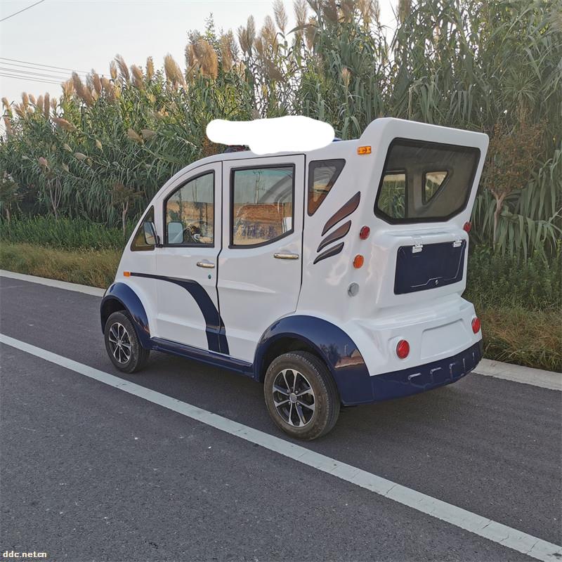 凯驰5座封闭式电动巡逻车