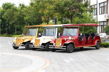 凯驰电动看房车8
