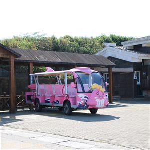 卡通特色造型电动观光车报价厂家景区旅游观光车品牌14座游览车