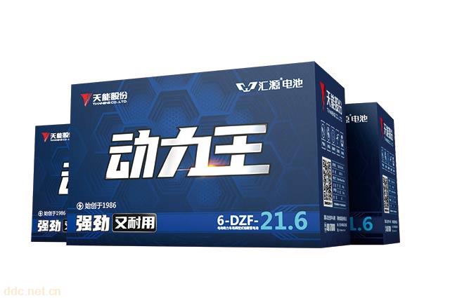 天能铅酸动力电池汇源动力王电动自行车电池
